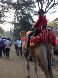 Couldn't get Liz on one of these