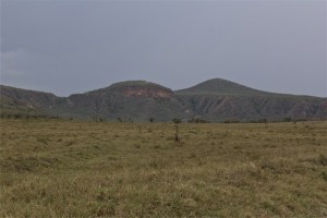 It's a pretty big place.