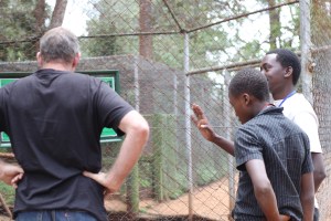 A tour of the animal orphanage to see a lion close up.