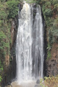 Thomsons Falls