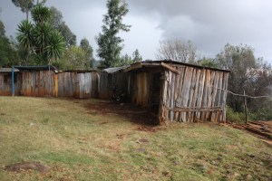 At the top of the lookout