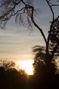 Amazing sunrises greeted us each day