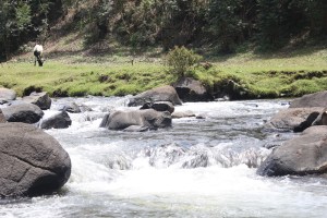 You can hear the river from your room.